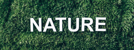 Word Nature on moss, green grass background. Top view. Copy space. Banner. Biophilia concept. Nature backdropの写真素材
