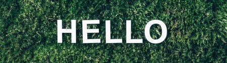 Word Hello on moss, green grass background. Top view. Copy space. Banner. Biophilia concept. Nature...