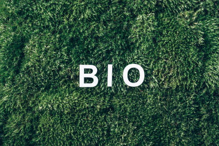 Word Bio on moss, green grass background. Top view. Copy space. Banner. Biophilia concept. Nature backdropの写真素材