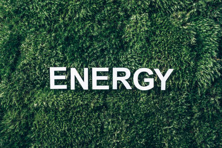 Word Energy on moss, green grass background. Top view. Copy space. Banner. Biophilia concept. Nature backdropの写真素材