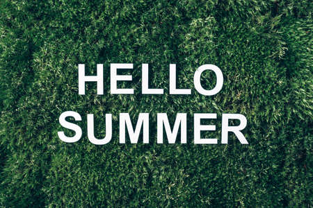 Inscription Hello summer on moss, green grass background. Top view. Copy space. Banner. Biophilia concept. Nature backdropの写真素材