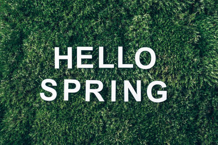 Inscription Hello spring on moss, green grass background. Top view. Copy space. Banner. Biophilia concept. Nature backdropの写真素材
