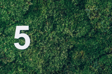 Ecology, zero waste. Green grass and digit five 5. Birthday greeting card. Anniversary concept. Top view. Copy space. White numeral over eco moss background. Numerical digit.の写真素材