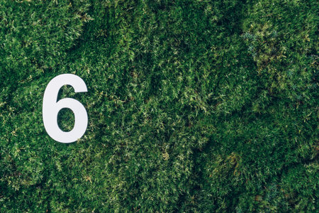 Ecology, zero waste. Green grass and digit six 6. Birthday greeting card. Anniversary concept. Top view. Copy space. White numeral over eco moss background. Numerical digit.の写真素材