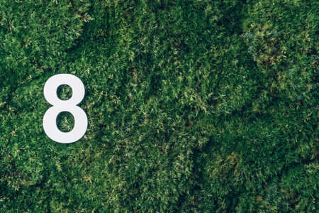 8 March. Happy Womens Day. Ecology, zero waste. Green grass and digit eight 8. Birthday greeting card. Anniversary concept. Top view. White numeral over eco moss background. Numerical digit.の写真素材