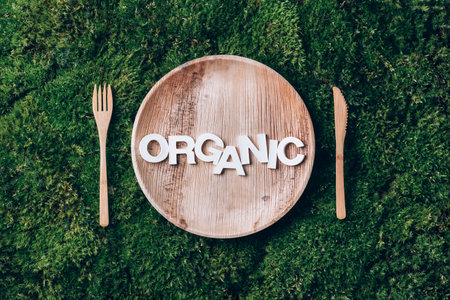 Wooden disposable tableware from natural materials with word ORGANIC, wooden spoon, fork on green moss background. Eco-friendly sustainable lifestyle. Zero waste picnic. Clean eating healthy cookingの写真素材