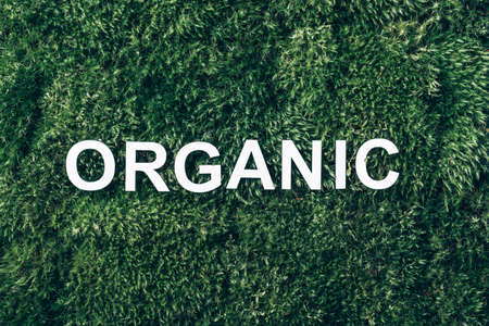 Word Organic on moss, green grass background. Top view. Copy space. Banner. Biophilia concept. Nature backdrop. Healthy diet, eco friendly lifestyleの写真素材