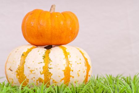 Orange Pumpkin On Top of White Pumpkin on Grassの写真素材