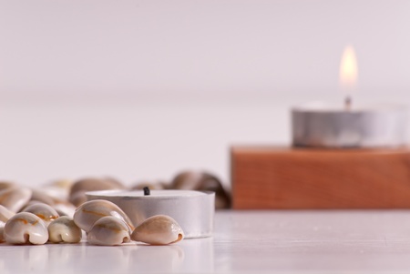 Shells and Home Decorativesの写真素材