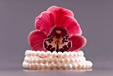 3 Row Freshwater Pearl Bracelet Gift with Orchidの写真素材