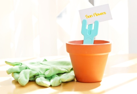 Planting Sun Flowersの写真素材