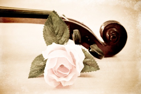 Rose with Violin Head Stock in Grungeの写真素材