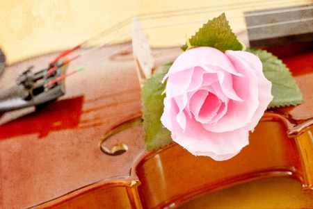 Rose on Violin in Grunged Textureの写真素材