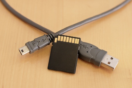 Memory Card and USB Camera Cablesの写真素材