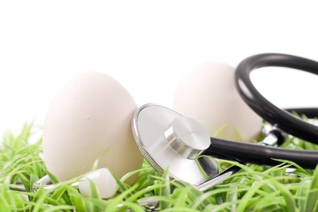 Two Eggs on Grass with Stethoscope Toolの写真素材