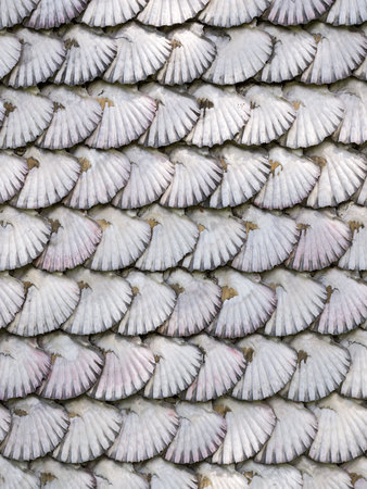 texture detail of facade chapel covered of scallop shells on Toja Island, Galicia, Spain.の写真素材