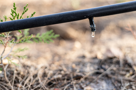 Drip Irrigation System Close Upの写真素材