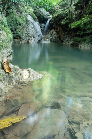 waterfall in the jungleの写真素材