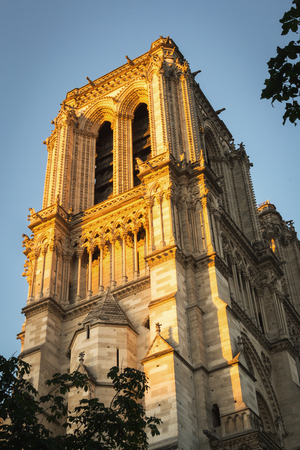 Sunrise in Paris on one of the majestic columns of Notre Dame Cathedral of Parisの写真素材