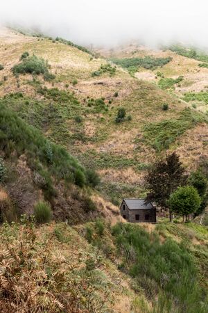 Hut in the mountains in the center of the forest on the island of Madeiraの写真素材