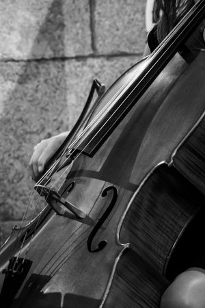 Elegant woman playing the bass in a church in black and whiteの写真素材