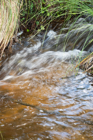 Water source near Sauviat sur Vige lake