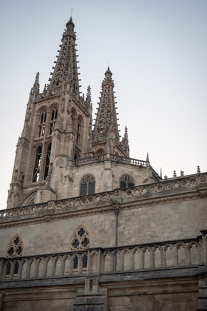 Catedral de Santa Maria of Burgos at sunset in Spainの写真素材