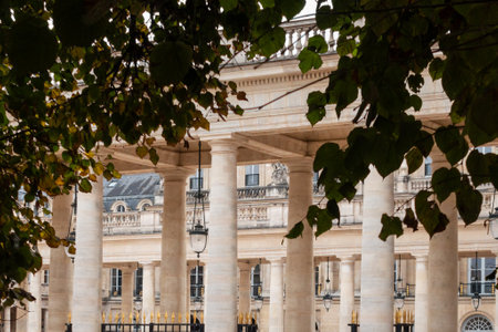 View of the courtyard of the Palais Royal in Paris from its garden - Paris