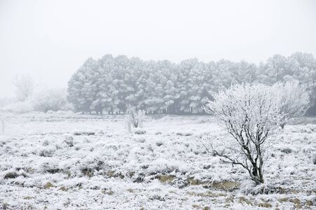 winter season snow field landscapeの写真素材