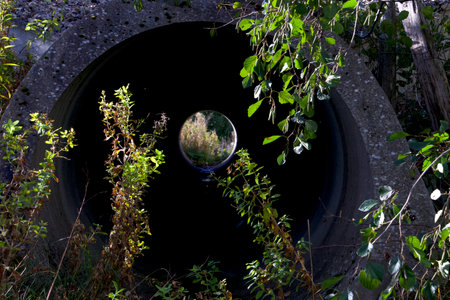 Green plants in front of the animal tunnel with a view to the end of the pipe