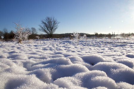 Snow in close up on the field on a lovely winter day