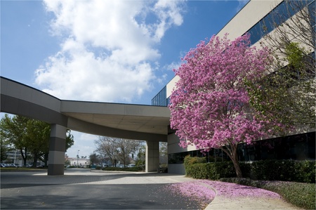 Hospital drive through with pink tree at entrance in springtimeのeditorial素材