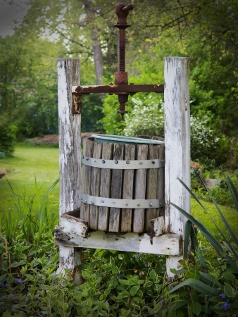 Antique wooden wine press left in garden surrounded by flowersの写真素材