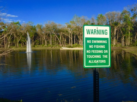 Warning sign of alligators present in lakeの素材
