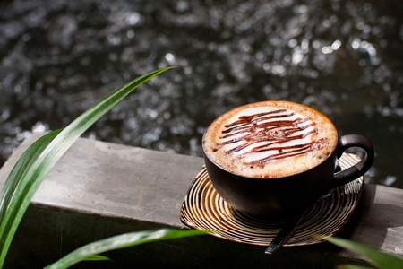 cup of cappuccino in the gardenの写真素材
