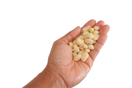 	Clove of garlic in handisolated on white backgroundの写真素材