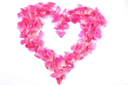 frame of pink rose petals 	frame of pink rose petals の写真素材