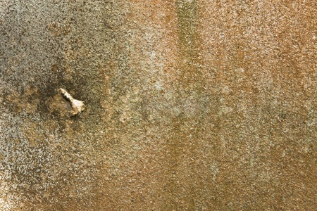 natural color of cement wall texture surfaceの写真素材