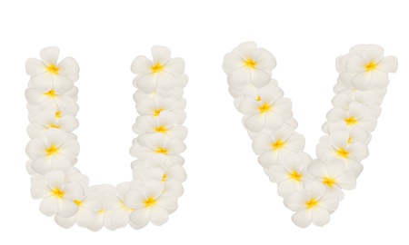 alphabet created from  white tropical flower,Frangipani(plumeria) isolated,UVの写真素材