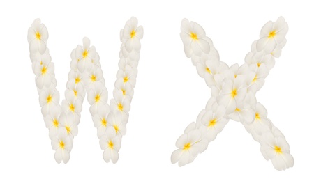 alphabet created from  white tropical flower,Frangipani(plumeria) isolated,WXの写真素材