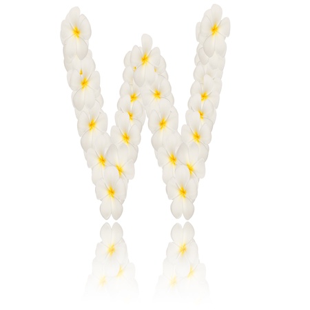 alphabet created from white tropical flower,Frangipani(plumeria) with reflection on white background.の写真素材