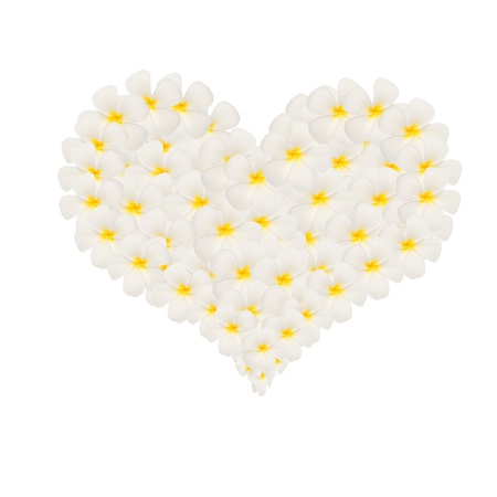 frangipani created in heart shape isolated on whiteの写真素材