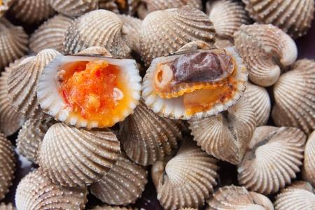 Blood Cockle or scallop with seafood sauce in Thailandの写真素材