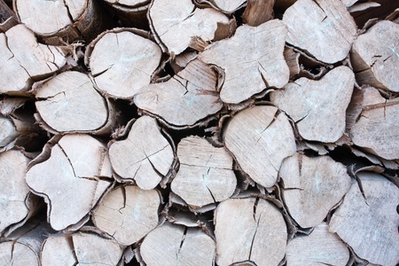 Firewood backgroundの写真素材