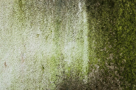 natural color of cement wall texture surfaceの写真素材