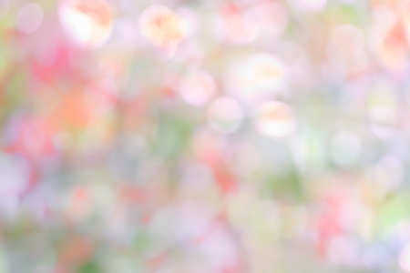 pastel colorful background bokeh blurred on morning lightsの写真素材
