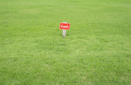 Signs no entry in Thai language on green grassの写真素材