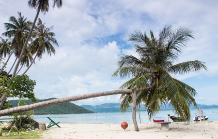 Seascape of coconut on the beach,Samui island,Thailandのeditorial素材