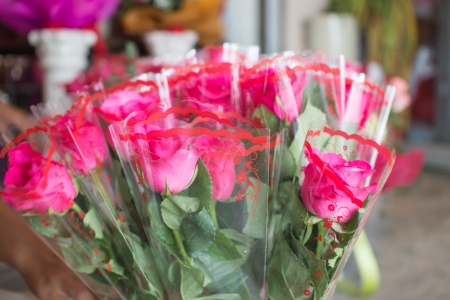 Pink rose bouquet close up backgroundの写真素材