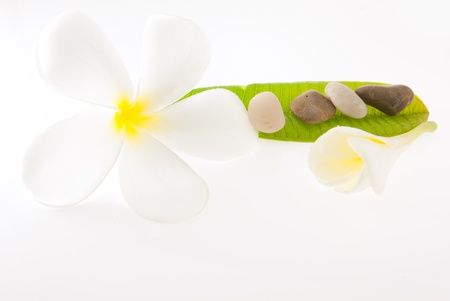 Frangipani flowers with stone for spa set isolatedの写真素材